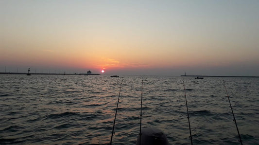 Dove pescare nella Laguna di Venezia (Zona Chioggia) e quali esche usare